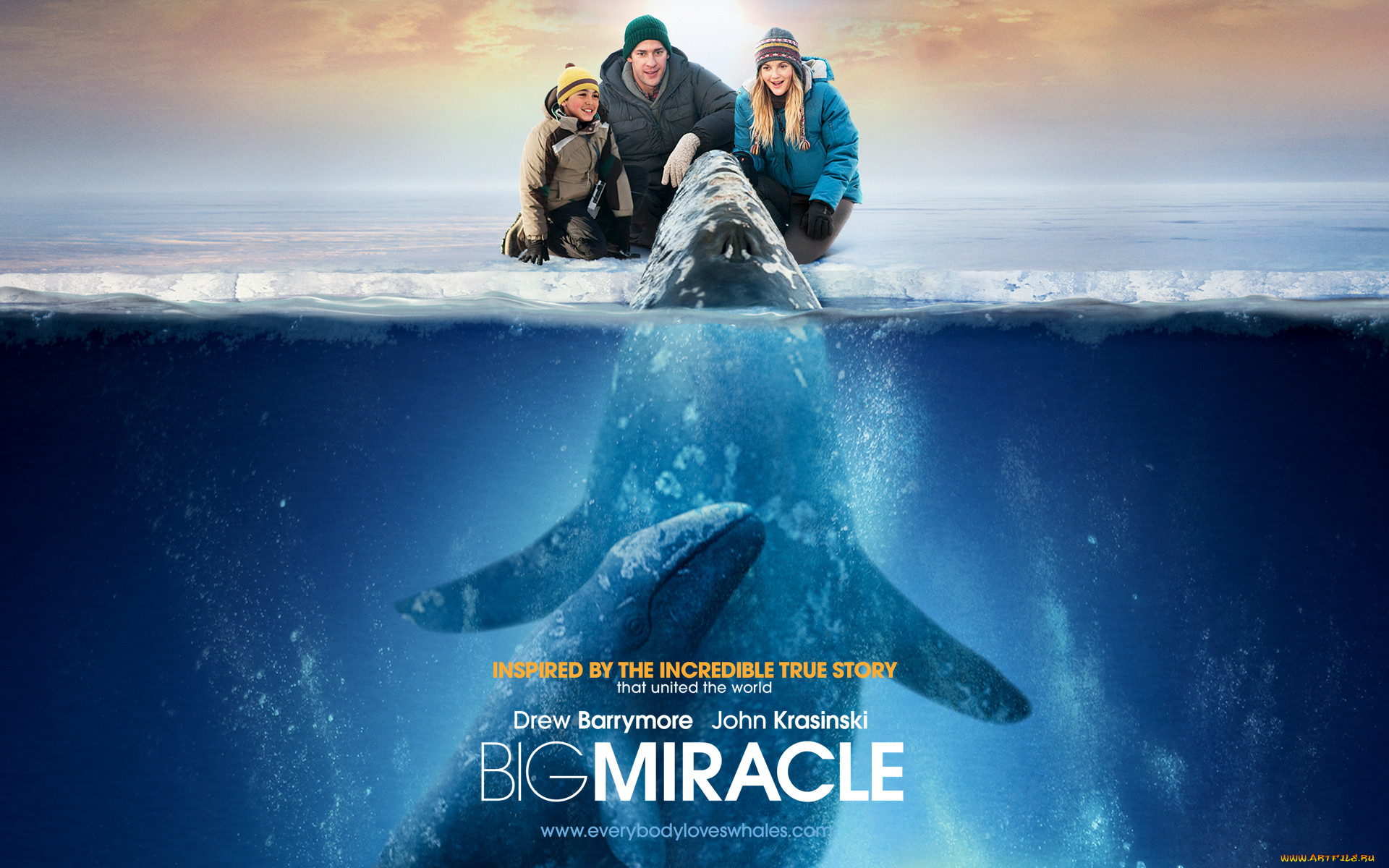 big, miracle, , 